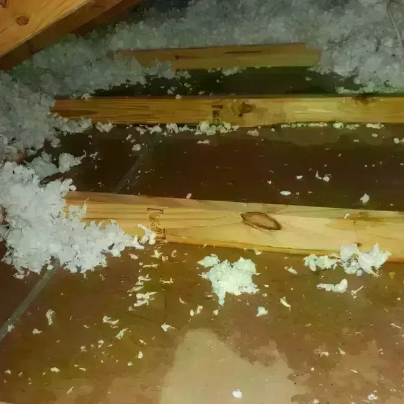 Attic Water Damage in Fox Farm-College, WY